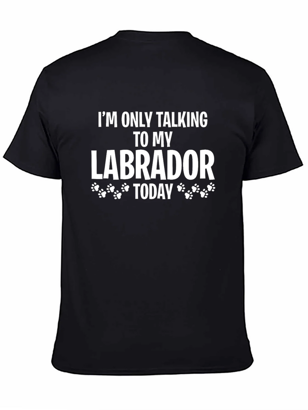 Labrador Lover T-Shirt - Im Only Talking To My Today product image 4