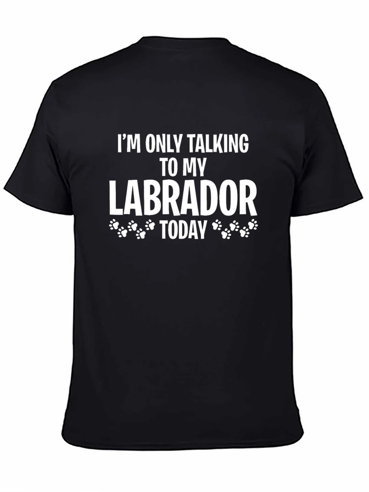 Labrador Lover T-Shirt - Im Only Talking To My Today product image 4