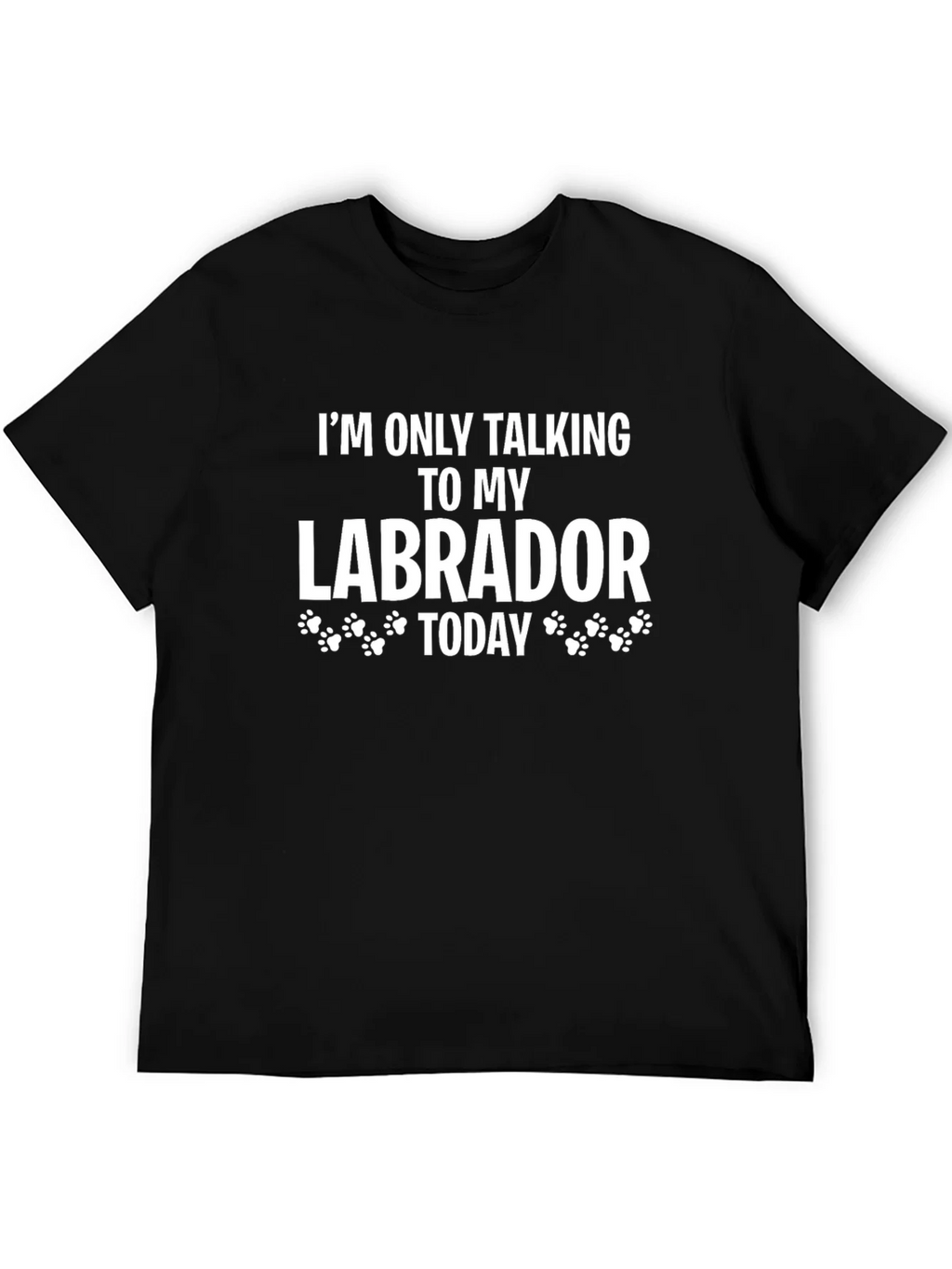 Labrador Lover T-Shirt - Im Only Talking To My Today product image 5