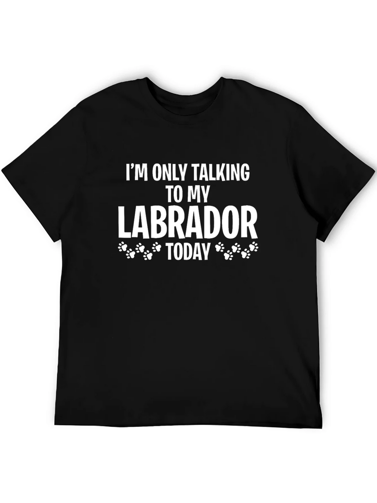 Labrador Lover T-Shirt - Im Only Talking To My Today product image 5