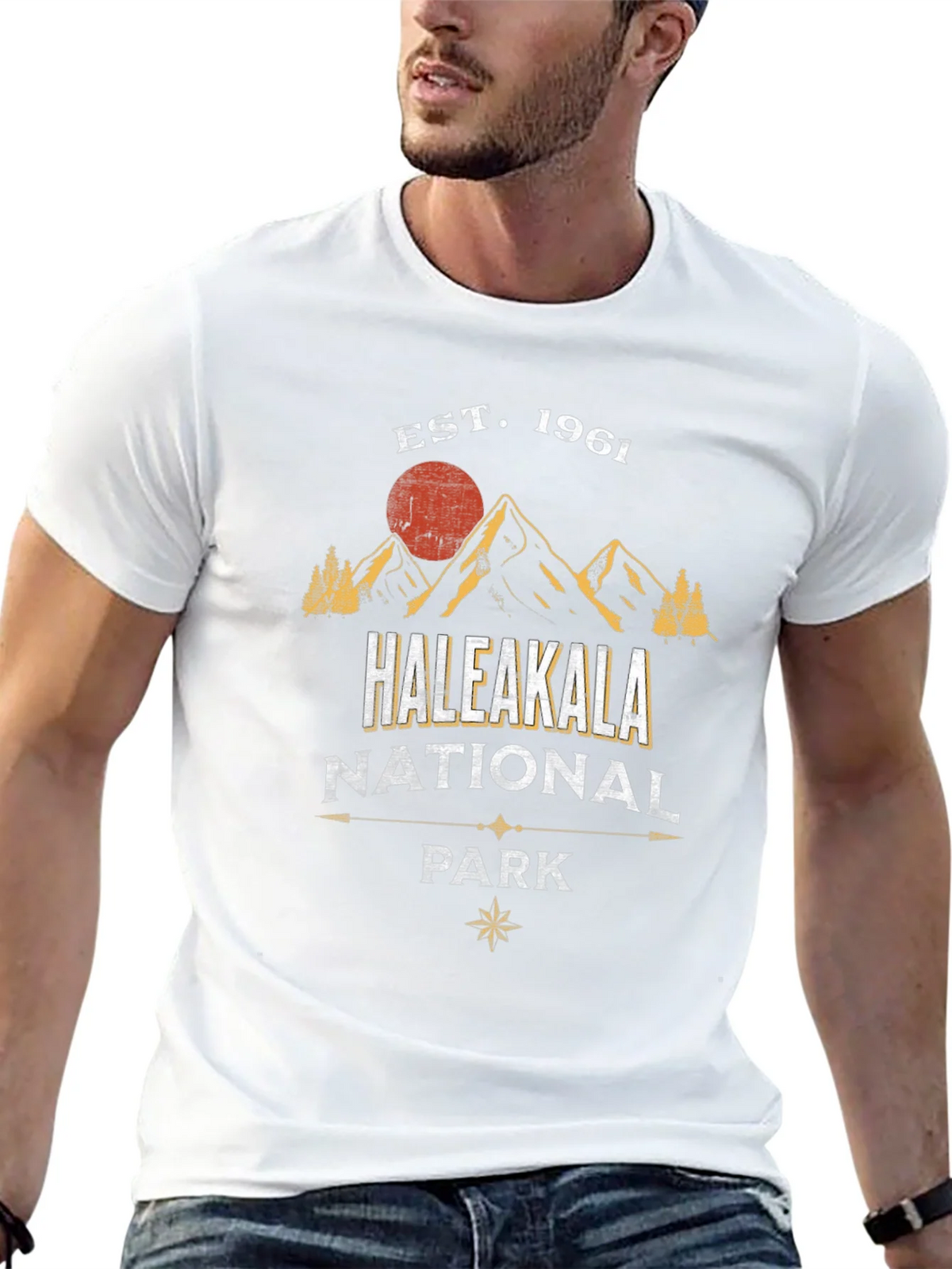 Haleakala National Park T-Shirt Est. 1961 product image 10