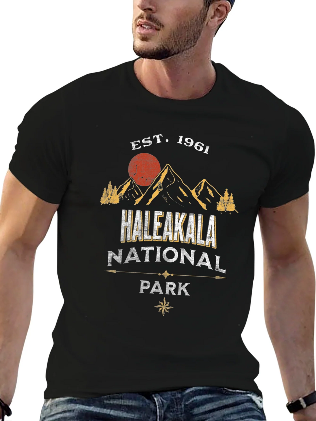 Haleakala National Park T-Shirt Est. 1961 product image 5