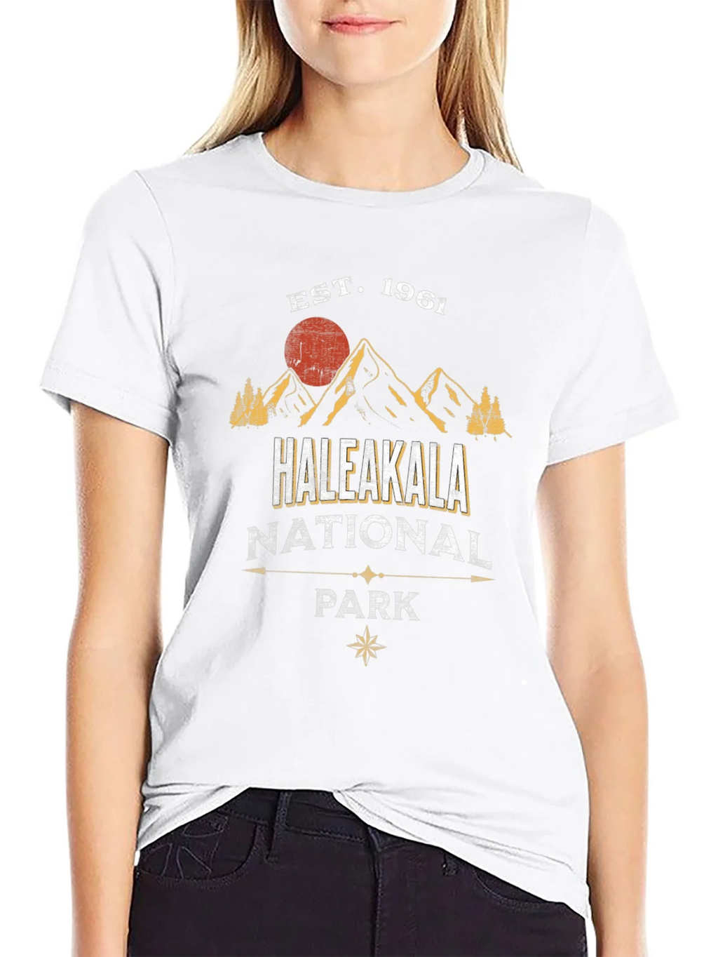 Haleakala National Park T-Shirt Est. 1961 product image 7