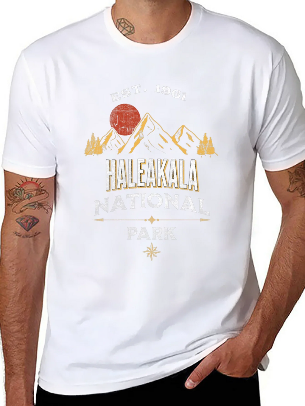Haleakala National Park T-Shirt Est. 1961 product image 6