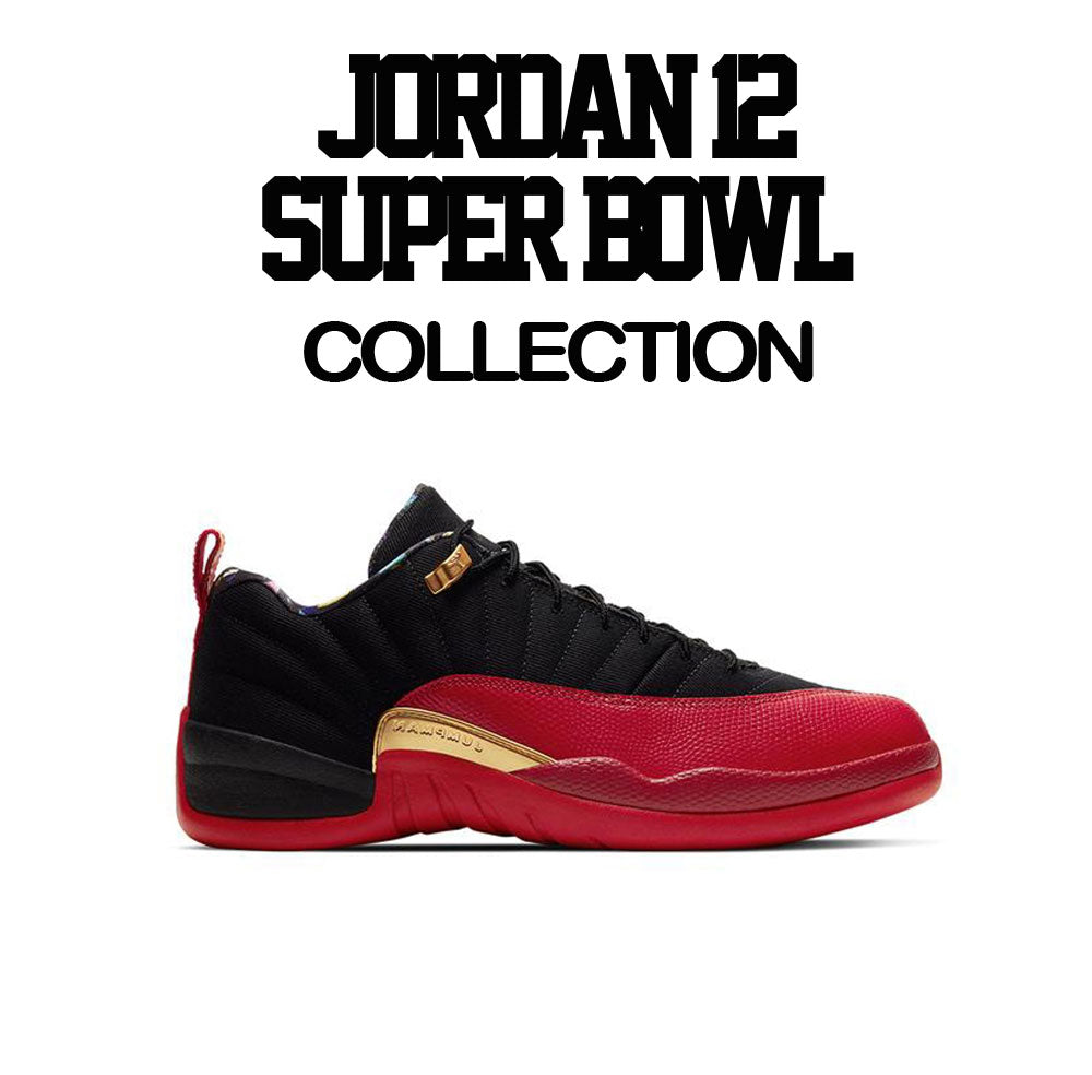 Retro 12 Super Bowl Fresh Since Raglan Shirt